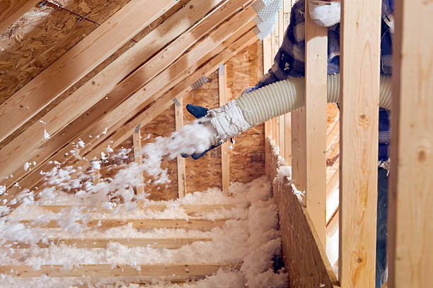 Professional Insulation Services in Pinson, AL